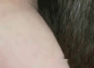 Old farm fucking recorded in high quality