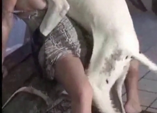 Tight pussy cutie getting fucked by a white dog