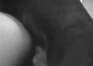 Animal cock getting worshiped by a kinky MILF