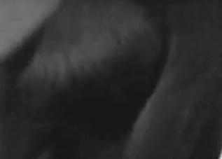 Animal cock getting worshiped by a kinky MILF