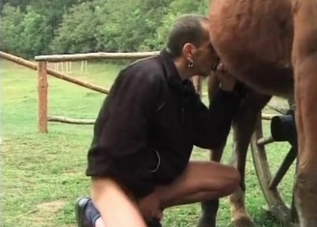Guy is sniffing horse's ass for some reason