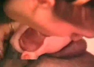 Kinky dog and two sex-crazed bitches