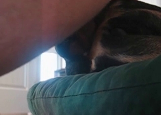 Dirty dog has to take this dude's cock