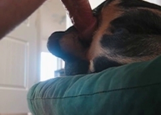 Dirty dog has to take this dude's cock