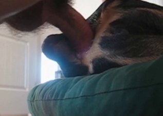 Dirty dog has to take this dude's cock