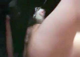 Amateur chick wants that dog dick