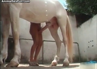 Horse cock getting lovingly stroked on camera