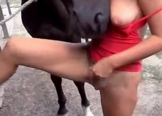 This pony is obsessed with eating human pussy