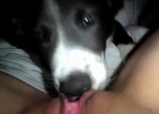 POV fucking session with a twisted mutt