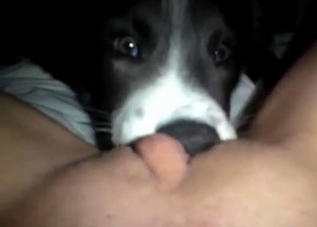 POV fucking session with a twisted mutt