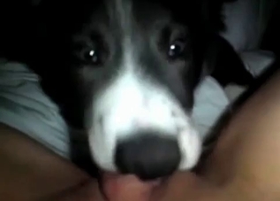 POV fucking session with a twisted mutt