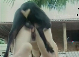 Dirty dog drilling a tight human pussy