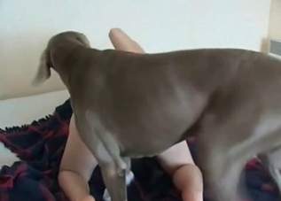 Incredibly sexy babe wants to fuck a mutt