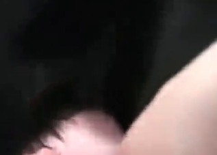 Hardcore bestiality recorded in high quality