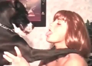 Obedient doggo licking the owner's juicy pussy