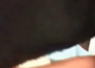 Pretty pussy getting licked by a black mutt