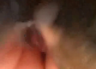 Pretty pussy getting licked by a black mutt
