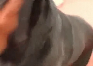Pretty pussy getting licked by a black mutt