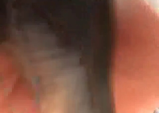 Pretty pussy getting licked by a black mutt