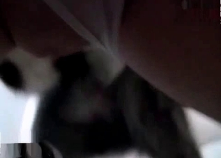 Animal sex with amateurs that love bestiality