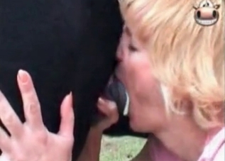 Doggo loves making sure the owner cums
