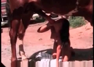Twisted chick can't help but seduced this horse