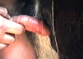 Seductive chick can't say no to an animal