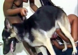 Two dark-skinned beauties and a horny mutt
