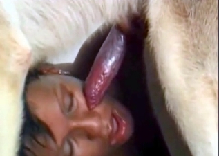 Two dark-skinned beauties and a horny mutt