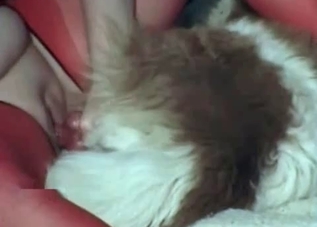Hardcore mutt enjoying close-up fucking
