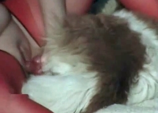 Hardcore mutt enjoying close-up fucking