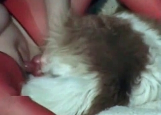 Hardcore mutt enjoying close-up fucking
