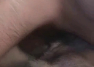 Dirty dude shoves his dick up dog's hole