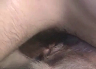 Dirty dude shoves his dick up dog's hole