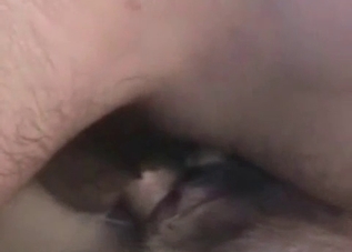Dirty dude shoves his dick up dog's hole