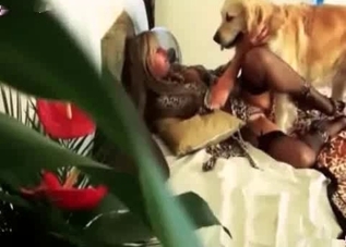 Pretty pussy is getting serviced on camera