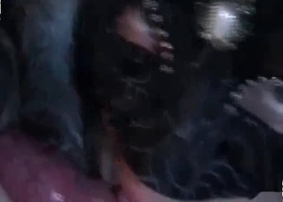 Dog cock is getting orally pleasured on cam