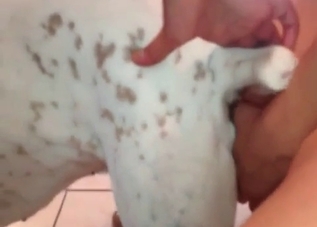 Amateur bestial sex recorded in high quality