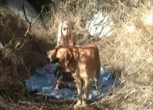 Dog fucking this blond-haired yokel on cam