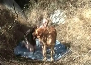 Dog fucking this blond-haired yokel on cam