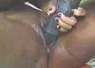 Horse cock getting serviced on camera