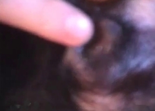 Gay puppy takes a huge cock up the ass