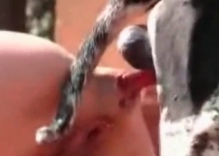 Mature hottie cannot stop fucking animals
