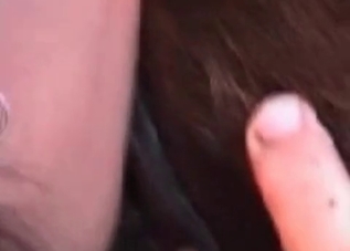 Farm fucking with a hung stallion