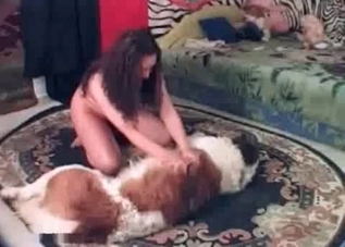 Tempting brunette gets railed by a rare breed