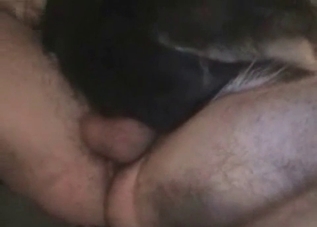 Tiny-ass puppy gets drilled by a hung dude