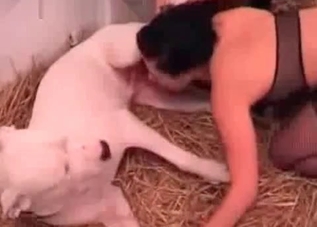Cute chick enjoying this dog's huge cock