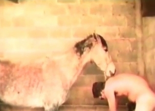 Insane slut is into bestiality