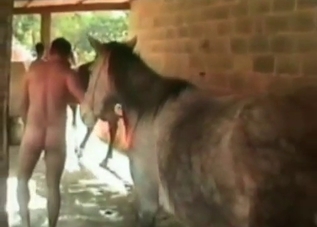 Insane slut is into bestiality