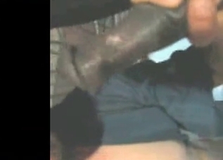 Animal cum savored by a zoophile
